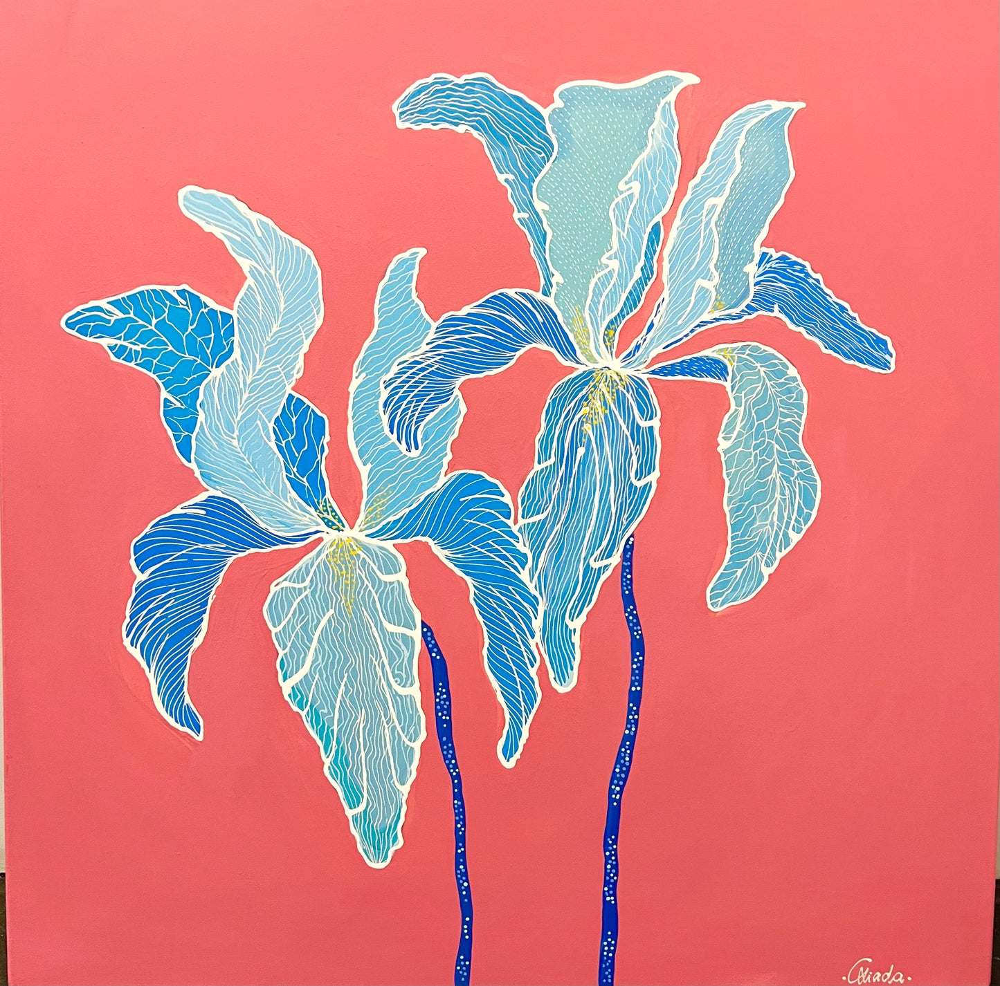 IRIS