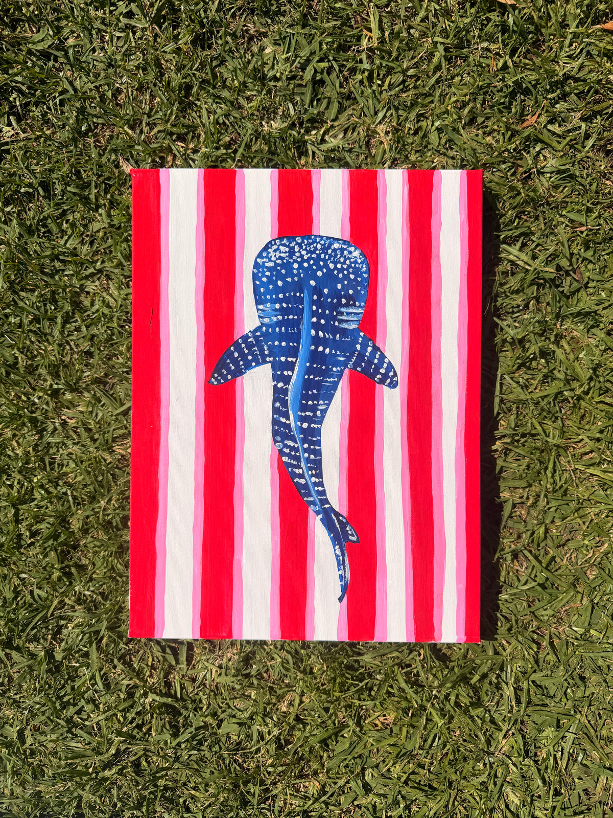 WHALE SHARK