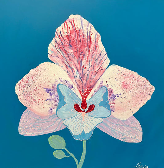 BLUE ORCHIDEA