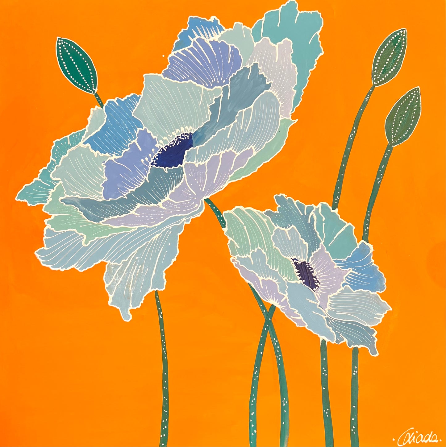 ORANGE POPPIES